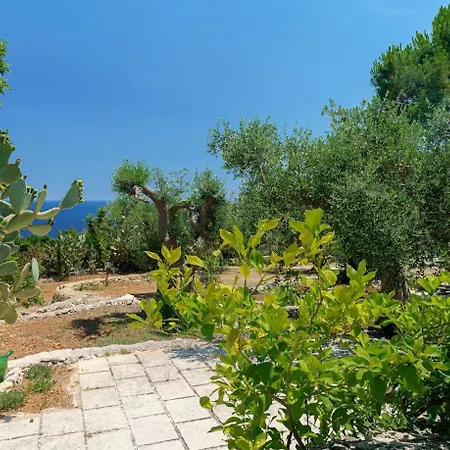 Azzurra -