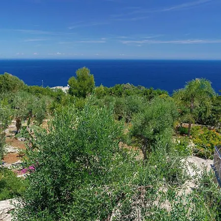 Vakantiehuis Azzurra - Corsano (Apulia)