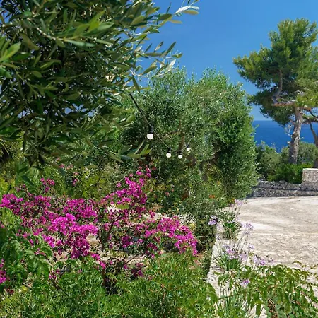 Azzurra - Corsano (Apulia)