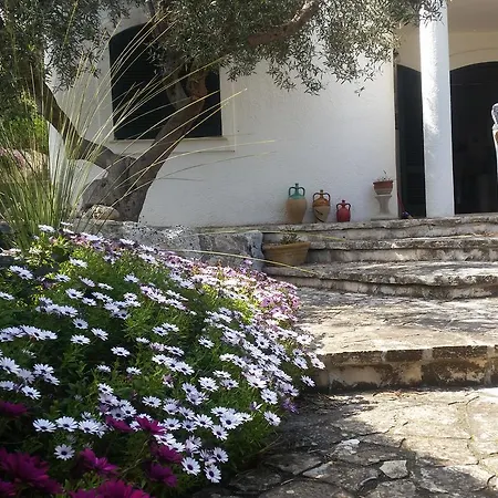 Vakantiehuis Azzurra - Corsano (Apulia)