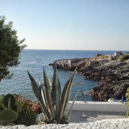 Azzurra * Corsano (Apulia)
