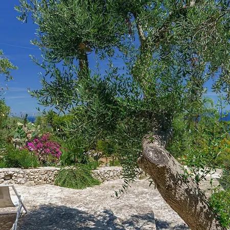Azzurra Corsano (Apulia)