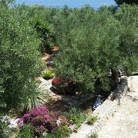 Azzurra Corsano (Apulia)
