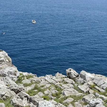 Azzurra - Corsano (Apulia)