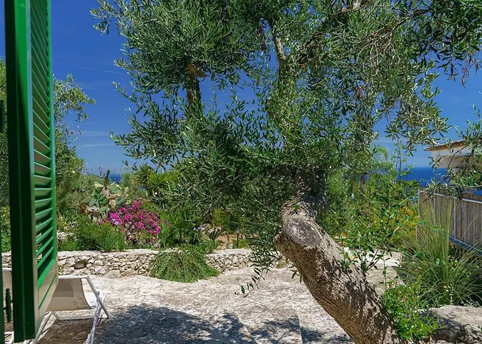 Azzurra - Corsano (Apulia)